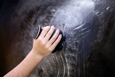 Imperial Riding Volta Elektrische Massagebürste für Pferde Schwarz aus Gummi – Bild 1 von 13