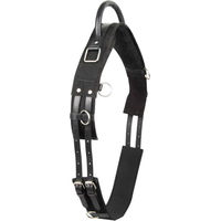 Produktbild von Imperial Riding Voltigiergurt Vito für Ponys in Schwarz mit Griff und Ringen