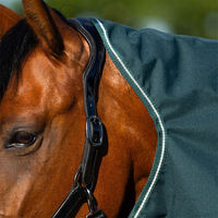 Produktbild von Imperial Riding Weidedecke IRHBasic Outdoordecke für Pferde mit abnehmbarem Fleece-Halsteil Größe 205 Green