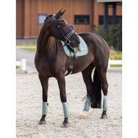 Produktbild von Imperial Riding Wickelbandagen IRH Lovely Gamaschen Fleece 4er Set Sage Green