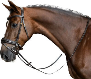 Imperial Riding Zügel für Pferde – Bild 1 von 1