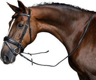 Imperial Riding Zügel für Pferde – Bild 1 von 1