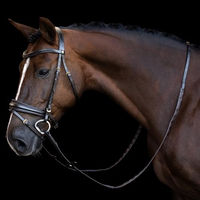 Produktbild von Imperial Riding Zügel mit Daumengriff und Magna Griffmuster aus Gummi und Leder in Dunkelbraun