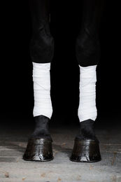 Incrediwear Equine Gamaschen Weiß für Warmblut – Bild 1 von 2