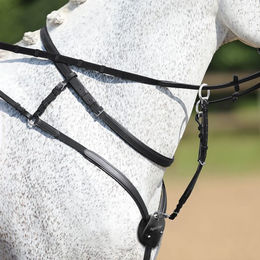 Ingrid Klimke Passier Vorderzeug mit abnehmbarem Halsriemen aus Leder – Bild 1 von 2