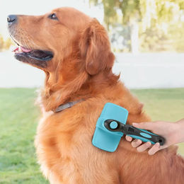 Produktbild von InnovaGoods Groombot Haustierbürste mit einziehbaren Edelstahlzähnen