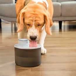 Produktbild von InnovaGoods Refopet Wiederaufladbarer Trinkbrunnen für Katzen mit Sensor in Weiß