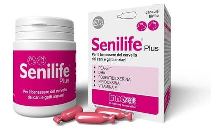 Innovet Italia Senilife Plus Nahrungsergänzung zur Unterstützung der Gehirnfunktion für Senioren Hunde und Katzen 60 Kapseln – Bild 1 von 3