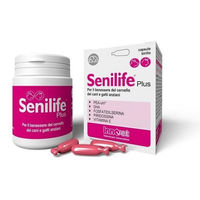 Produktbild von Innovet Italia Senilife Plus Nahrungsergänzung zur Unterstützung der Gehirnfunktion für Senioren Hunde und Katzen 60 Kapseln