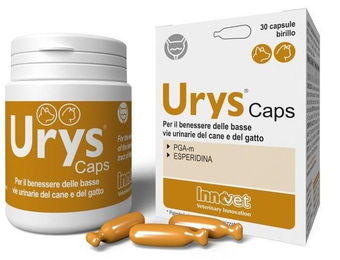 Innovet Italia Urys Kapseln zur Unterstützung der Harnweggesundheit für Hunde und Katzen, 30 Kapseln – Bild 1 von 3