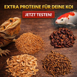 Insektus Bio Insekten Mix für Reptilien Nager und Koi 1kg - 1 kg – Bild 1 von 11