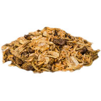 Produktbild von Insektus Futter-Mix getrocknet Mehlwürmer Seidenraupen Garnelen und Gammarus 500g
