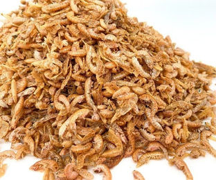 Insektus Gammarus Ergänzungsfutter für Koi 500g – Bild 1 von 1