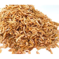Produktbild von Insektus Gammarus Ergänzungsfutter für Koi 500g
