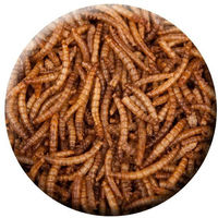 Produktbild von Insektus Getrocknete Mehlwürmer als Futter für Fische, Nager, Vögel, Reptilien und Igel