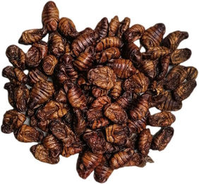 Insektus Getrocknete Seidenraupen 1 kg für Fische Reptilien und Vögel – Bild 1 von 1