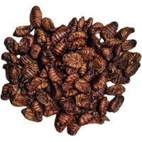 Produktbild von Insektus Getrocknete Seidenraupen 1 kg für Fische Reptilien und Vögel