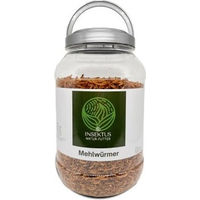 Produktbild von Insektus Mehlwürmer Insektenfutter für Fische Reptilien und Wildvögel 5 l