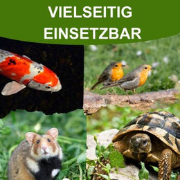 Insektus Mehlwürmer Insektenfutter für Fische, Wildvögel und Reptilien 2,5 kg – Bild 1 von 2