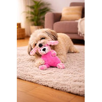 Produktbild von Interaktives Flamingo Hundespielzeug Roza aus weichem Plüsch in Rosa mit Squeaker und Knistergeräusch