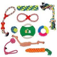 Produktbild von Intirilife 10er Set Kauspielzeug aus Baumwolle für Hunde und Katzen in Bunt