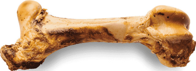Produktbild von Irish Pure Kauknochen Rind Giant Beef Bone groß getreidefrei für alle Altersstufen
