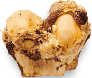 Produktbild von Irish Pure Kauknochen Roasted Half Knuckle getrockneter halber Rinderknöchel ohne Farb- und Aromastoffe sowie ohne Konservierungsstoffe