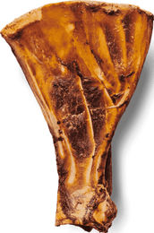 Produktbild von Irish Pure Roasted Paddle Bone getrocknetes Schulterblatt vom Rind ohne Konservierungsstoffe für Hunde