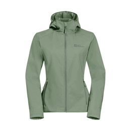 Produktbild von Jack Wolfskin Damen Jacke Bornberg Eucalyptus