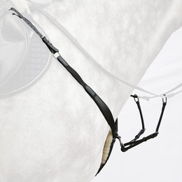 Produktbild von Jagdhalsband für Pferde Bridlery Dynamic