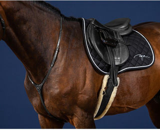 Produktbild von Jagdhalsband für Pferde Dy'on Yoke