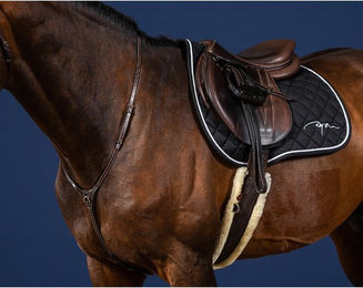 Produktbild von Jagdhalsband für Pferde Dy'on Yoke