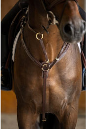 Produktbild von Jagdhalsband für Pferde HFI Pro Line Arezzo