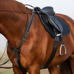 Produktbild von Jagdhalsband für Pferde Horseware Micklem
