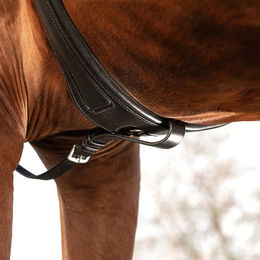 Produktbild von Jagdhalsband für Pferde Horseware Micklem