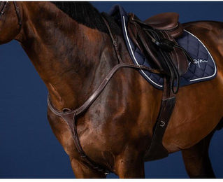 Produktbild von Jagdhalsband für Pferde lange Brücke Dy'on