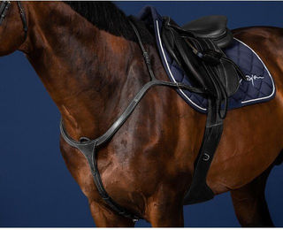 Produktbild von Jagdhalsband für Pferde lange Brücke Dy'on