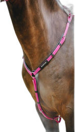 Produktbild von Jagdhalsband für Pferde Norton Endurance Pop