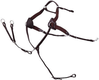 Jagdhalsband für Pferde Premiere – Bild 1 von 2