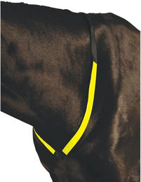 Produktbild von Jagdhalsband für Pferde Roma Breastplate