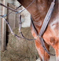 Produktbild von Jagdhalsband für Pferde T de T