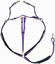 Produktbild von Jagdhalsband für Pferde T de T