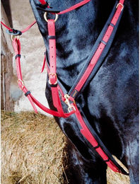 Produktbild von Jagdhalsband für Pferde T de T