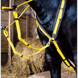 Produktbild von Jagdhalsband für Pferde T de T