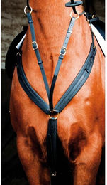 Produktbild von Jagdhalsband für Pferde T de T