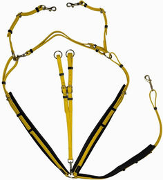 Produktbild von Jagdhalsband für Pferde T de T