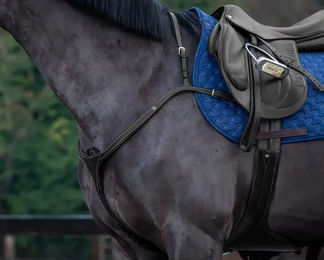 Produktbild von Jagdhalsband mit langem Steg für Pferde Dy'on