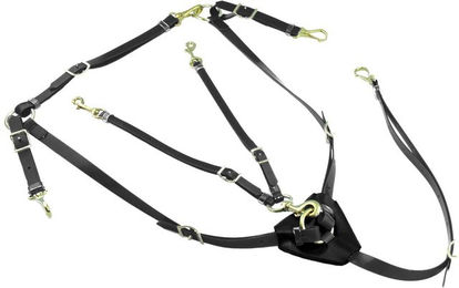 Produktbild von Jagdhalsband mit Martingal aus Biothane Lakota