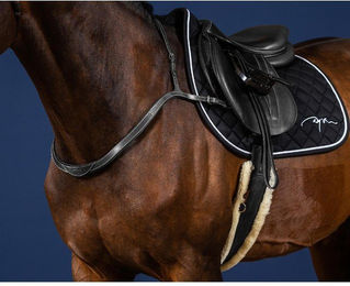 Produktbild von Jagdhalsband und Martingal für Pferde Dy'on