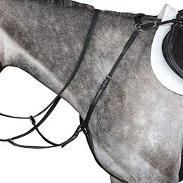 Produktbild von Jäger-Plastron Weatherbeeta Collegiate IV